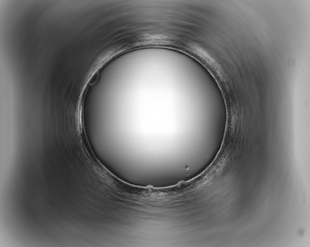 X0000094081370200711021505