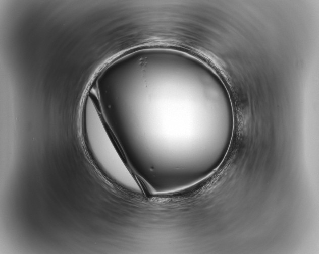 X0000094081371200711021505