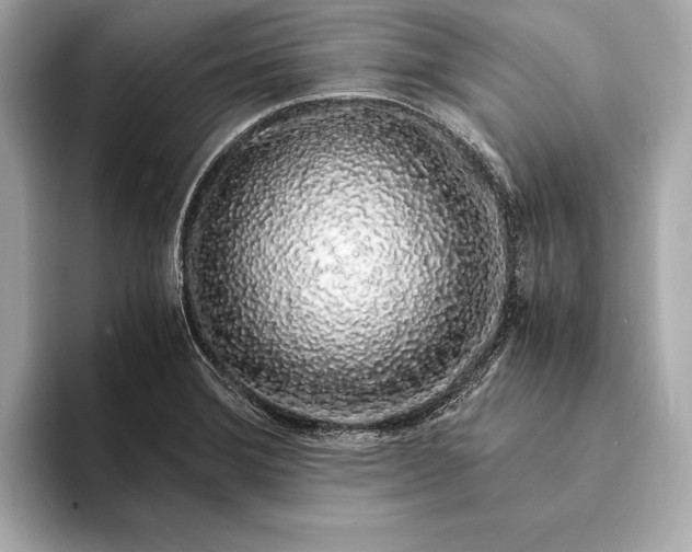 X0000094081372200711021505