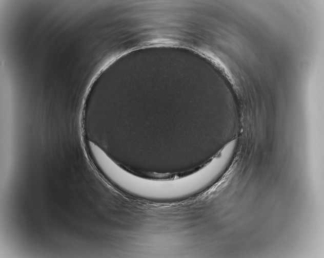 X0000094081373200711021505