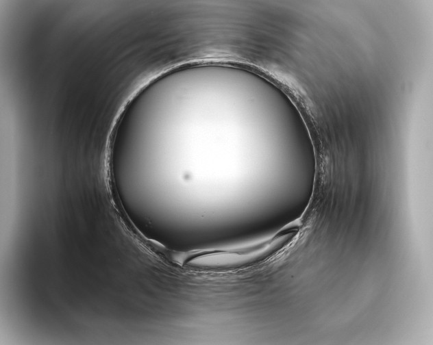 X0000094081374200711021505