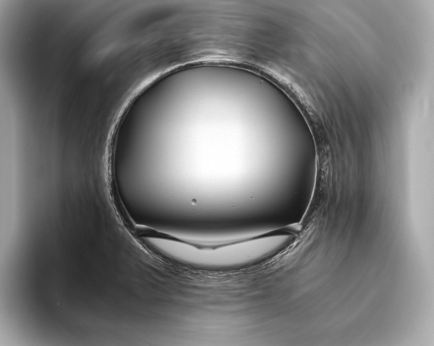 X0000094081375200711021505