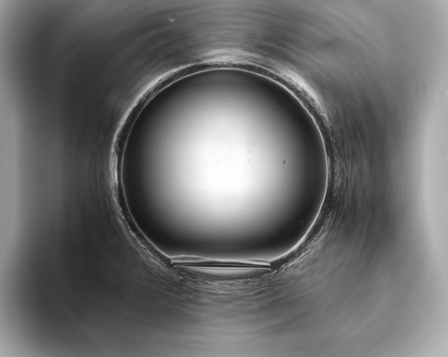 X0000094081376200711021505