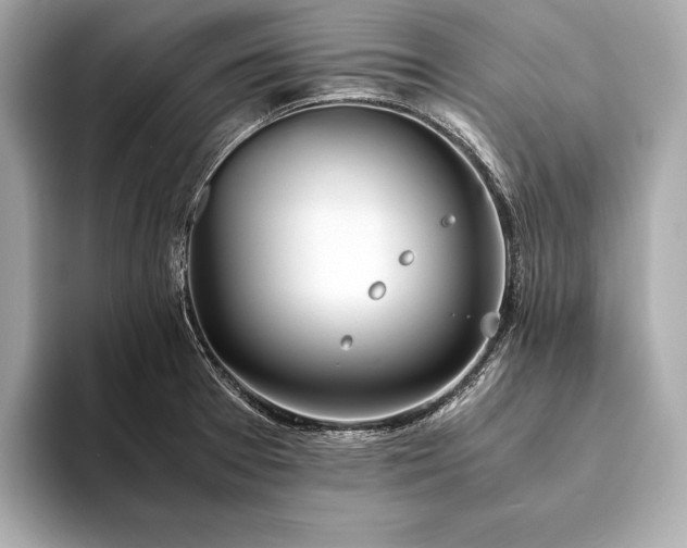 X0000094081377200711021505