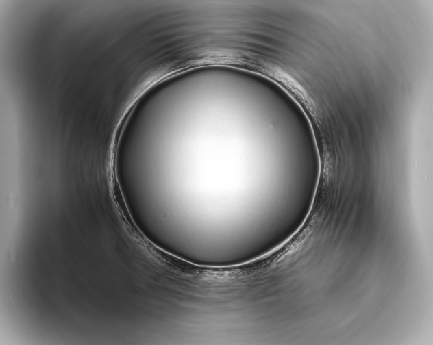 X0000094081378200711021505