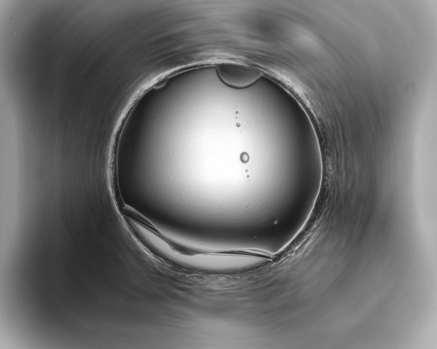 X0000094081379200711021505