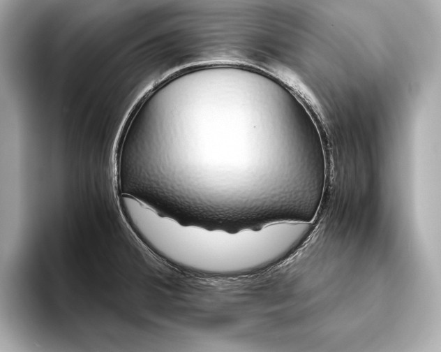 X0000094081380200711021505