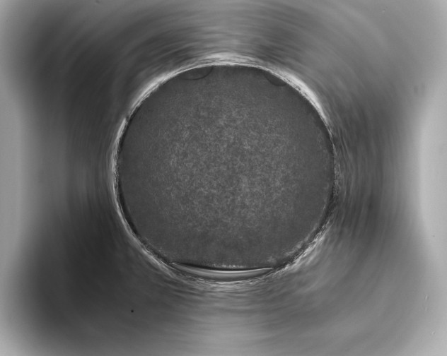 X0000094081381200711021505