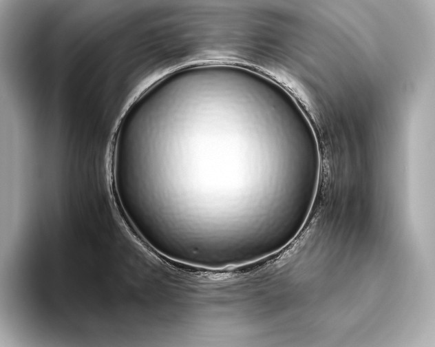 X0000094081382200711021505