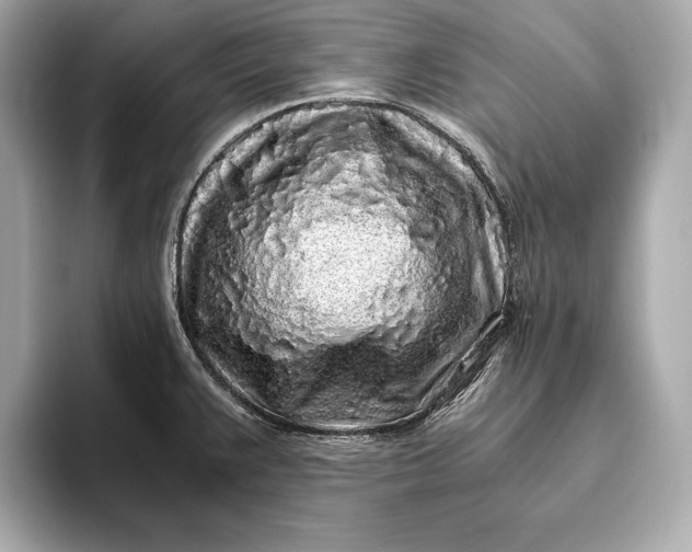 X0000094081383200711021505