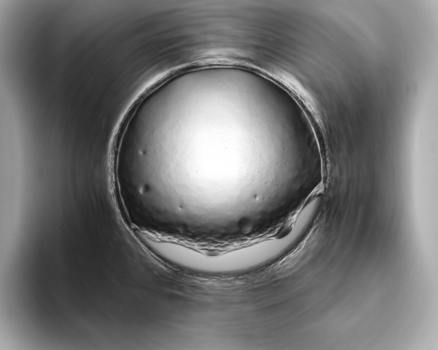 X0000094081384200711021505