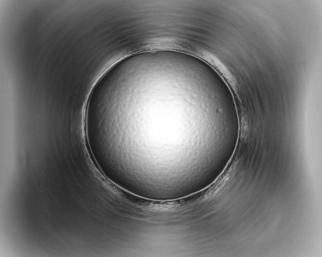 X0000094081386200711021505