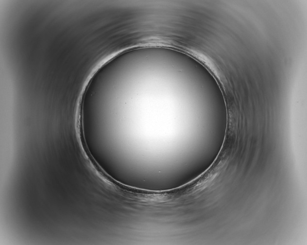 X0000094081387200711021505