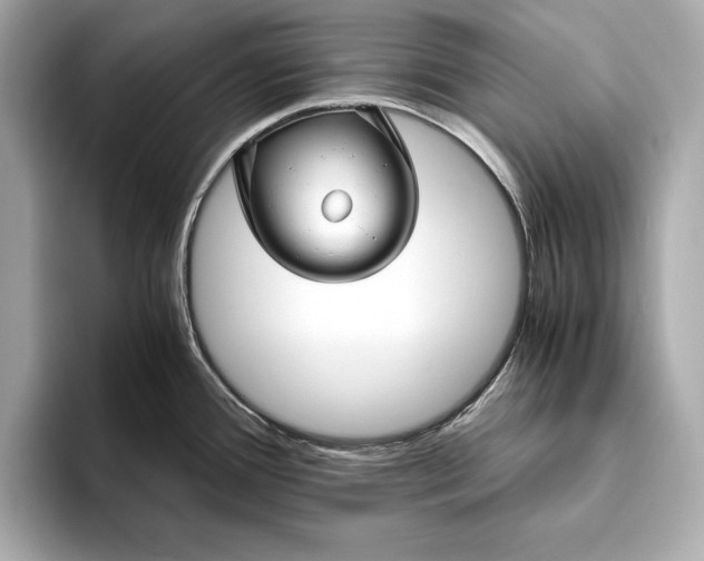 X0000094081388200711021505