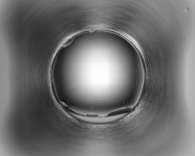 X0000094081389200711021505