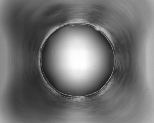 X0000094081390200711021505