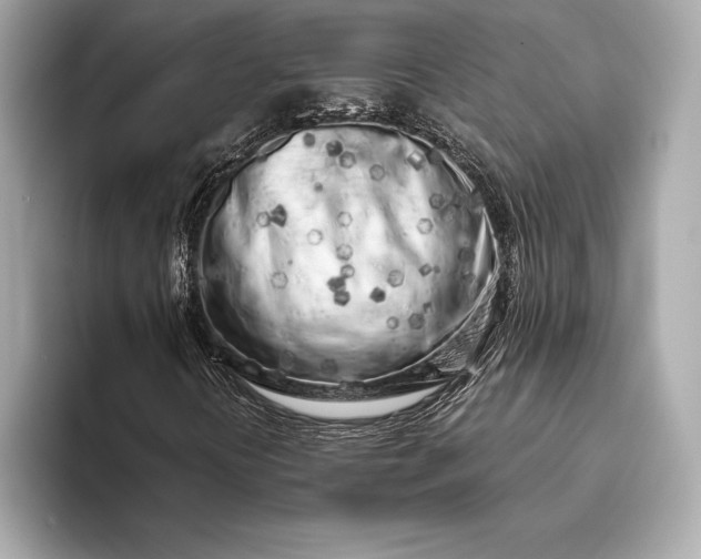 X0000094081394200711021505