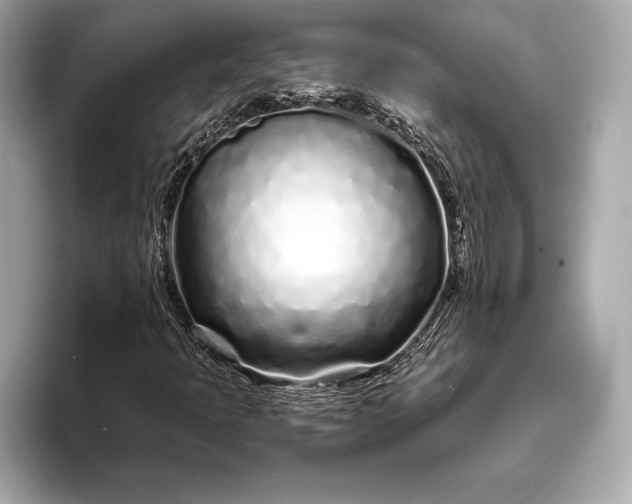 X0000094081397200711021505