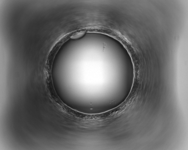 X0000094081400200711021505