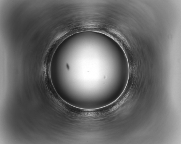 X0000094081402200711021505