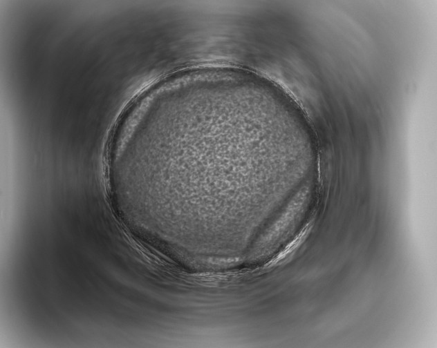 X0000094081405200711021505