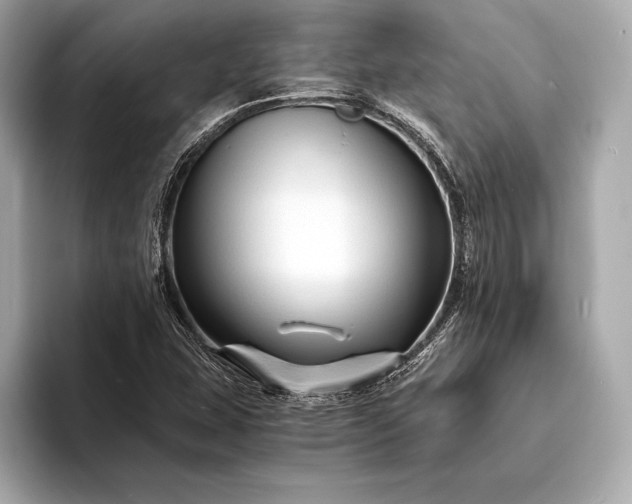 X0000094081407200711021505