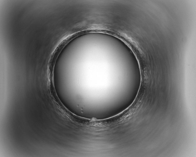 X0000094081408200711021505