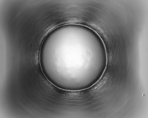 X0000094081409200711021505