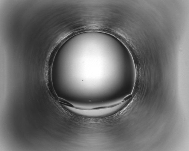 X0000094081410200711021505