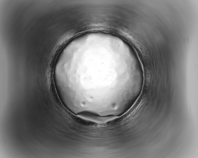 X0000094081411200711021505