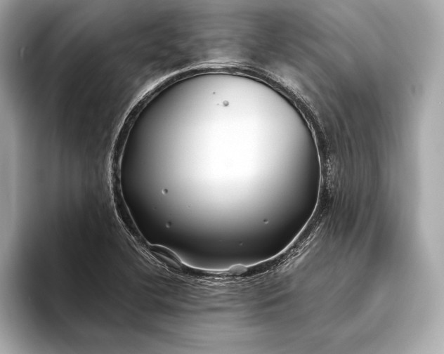 X0000094081412200711021505