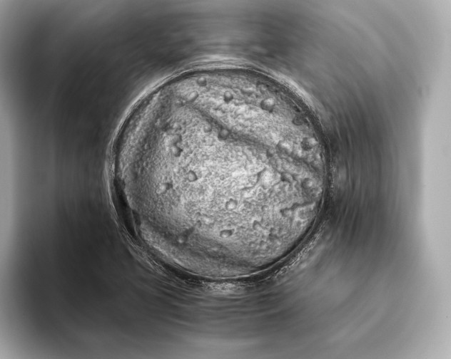 X0000094081413200711021505