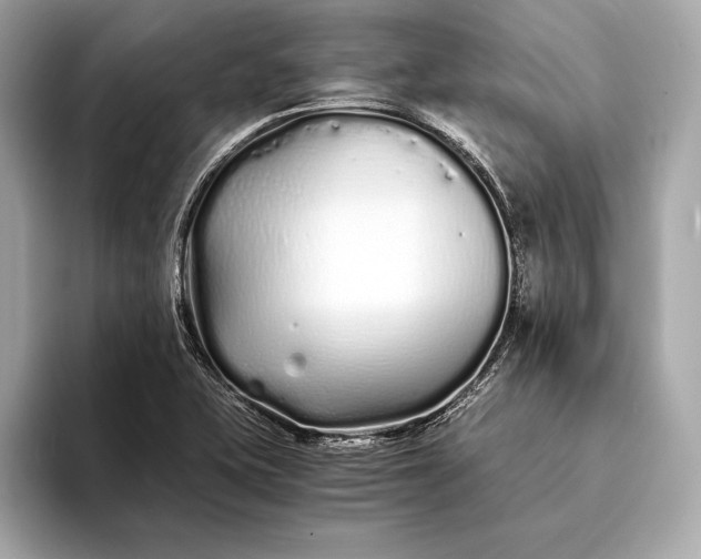 X0000094081415200711021505