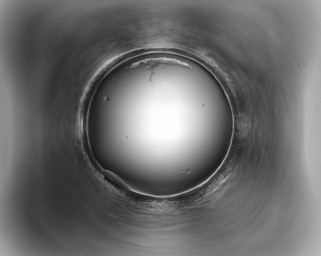 X0000094081416200711021505