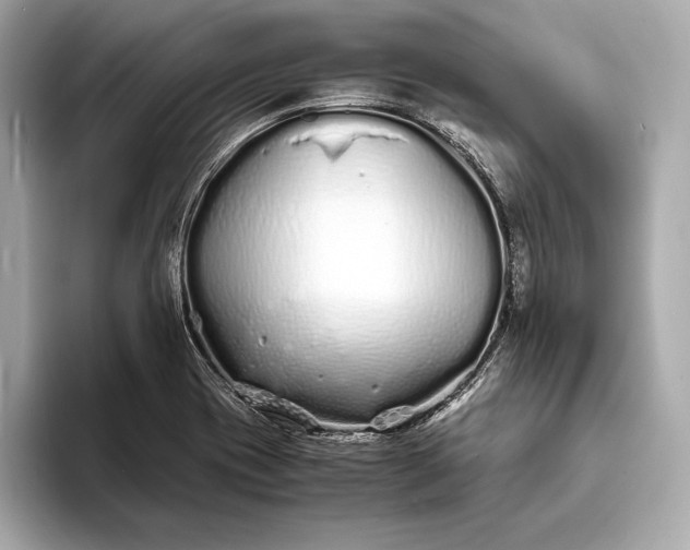 X0000094081417200711021505