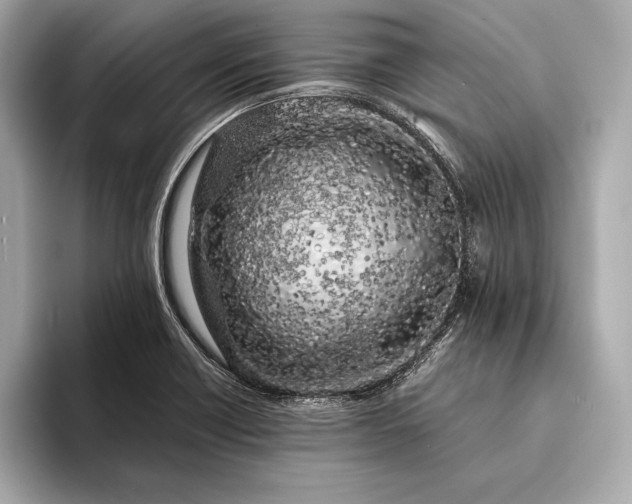 X0000094081418200711021505