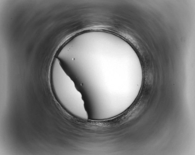 X0000094081420200711021505