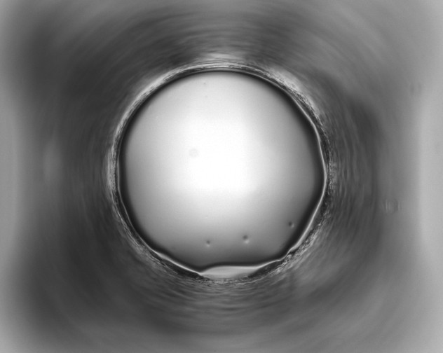 X0000094081421200711021505