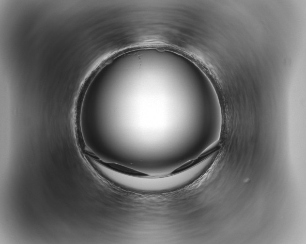 X0000094081422200711021505