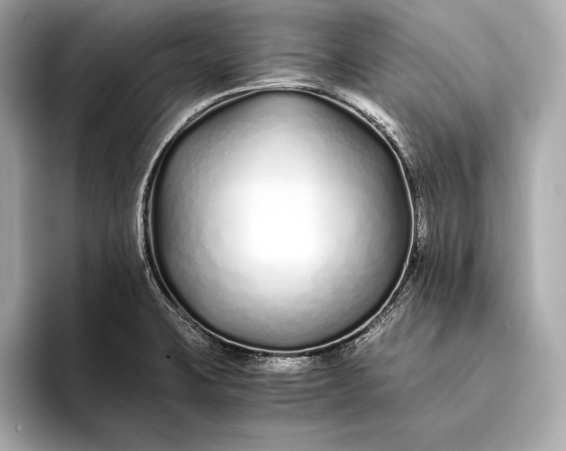 X0000094081423200711021505