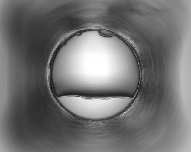 X0000094081424200711021505