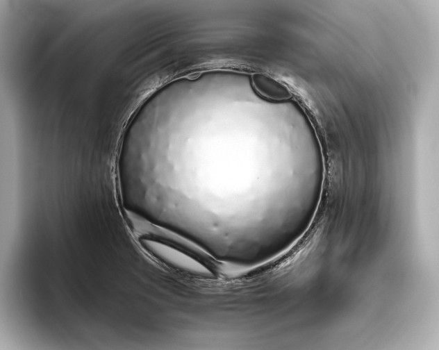 X0000094081425200711021505