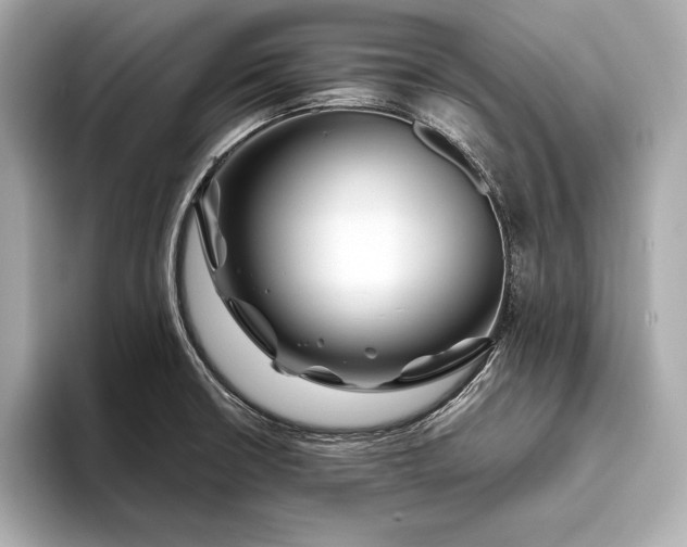 X0000094081426200711021505