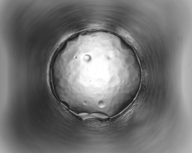 X0000094081427200711021505