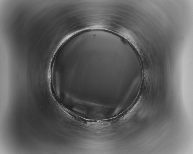 X0000094081428200711021505