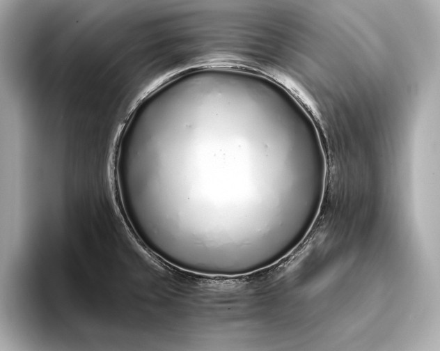 X0000094081429200711021505