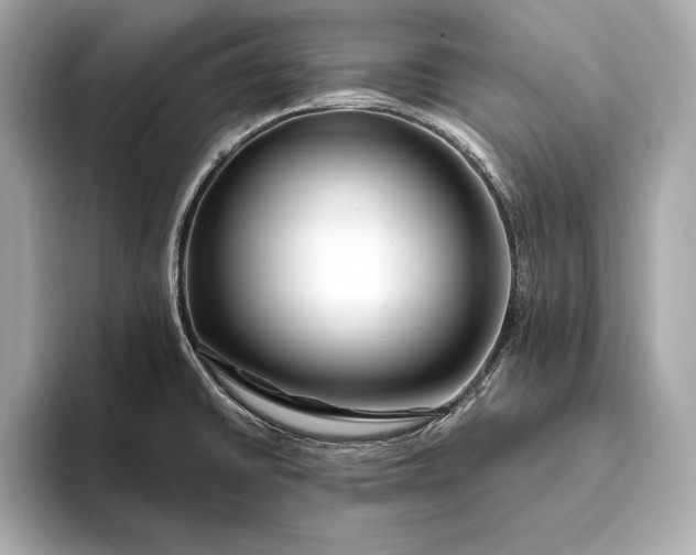 X0000094081430200711021505