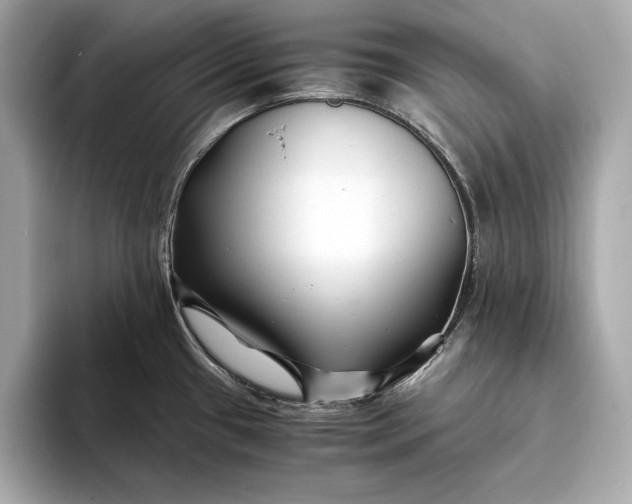 X0000094081433200711021505