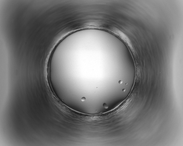 X0000094081435200711021505