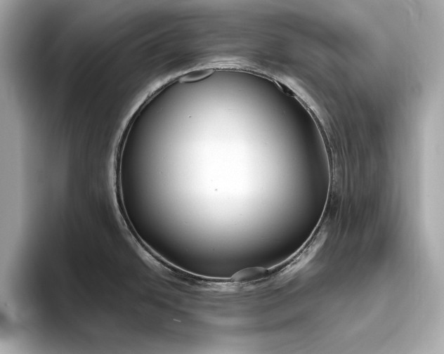 X0000094081438200711021505